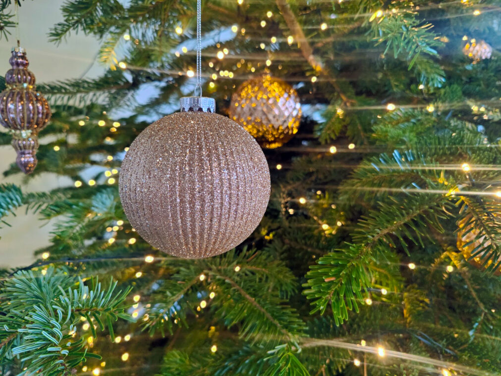 Openingstijden kerstvakantie