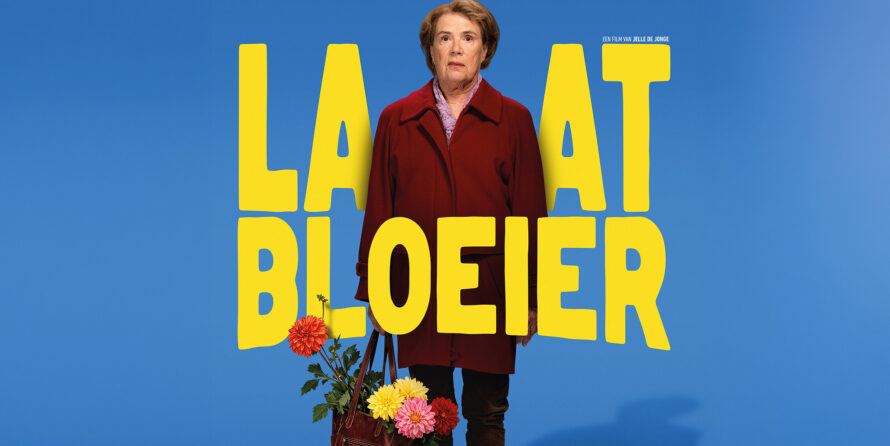 Laatbloeier